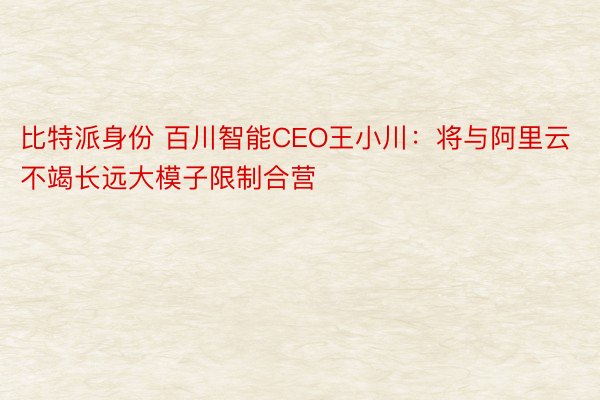 比特派身份 百川智能CEO王小川：将与阿里云不竭长远大模子限制合营