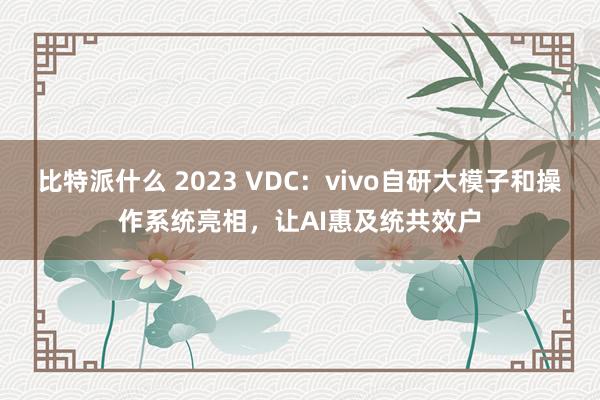 比特派什么 2023 VDC：vivo自研大模子和操作系统亮相，让AI惠及统共效户