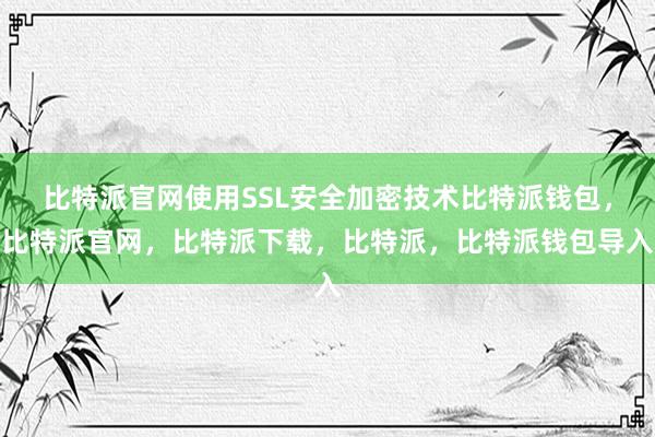 比特派官网使用SSL安全加密技术比特派钱包，比特派官网，比特派下载，比特派，比特派钱包导入