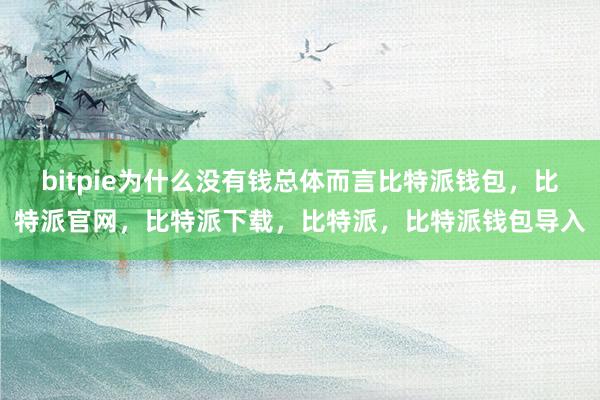 bitpie为什么没有钱总体而言比特派钱包，比特派官网，比特派下载，比特派，比特派钱包导入