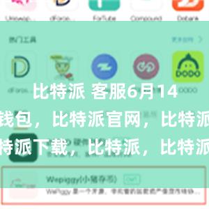 比特派 客服6月14日比特派钱包，比特派官网，比特派下载，比特派，比特派钱包导入